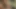 Karım porno oyuncu seçmelerine gitti
