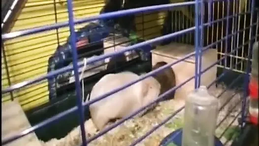 Mahalledeki en iyi sikiş tarihi! Orta yaşlı seksi kadınlar sikiliyor!