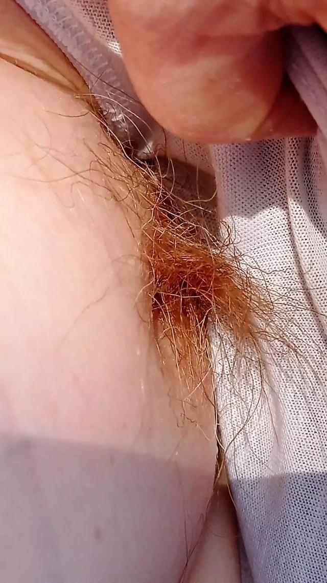 Ormanda biraz güneş ışığı