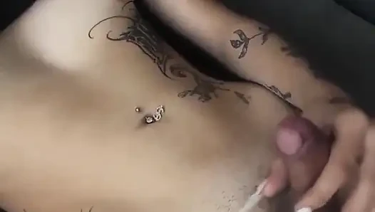 Seksi derleme