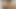 North Carolina Video