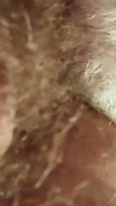 Daddy feasting on a beautiful hairy hole | Klip 1