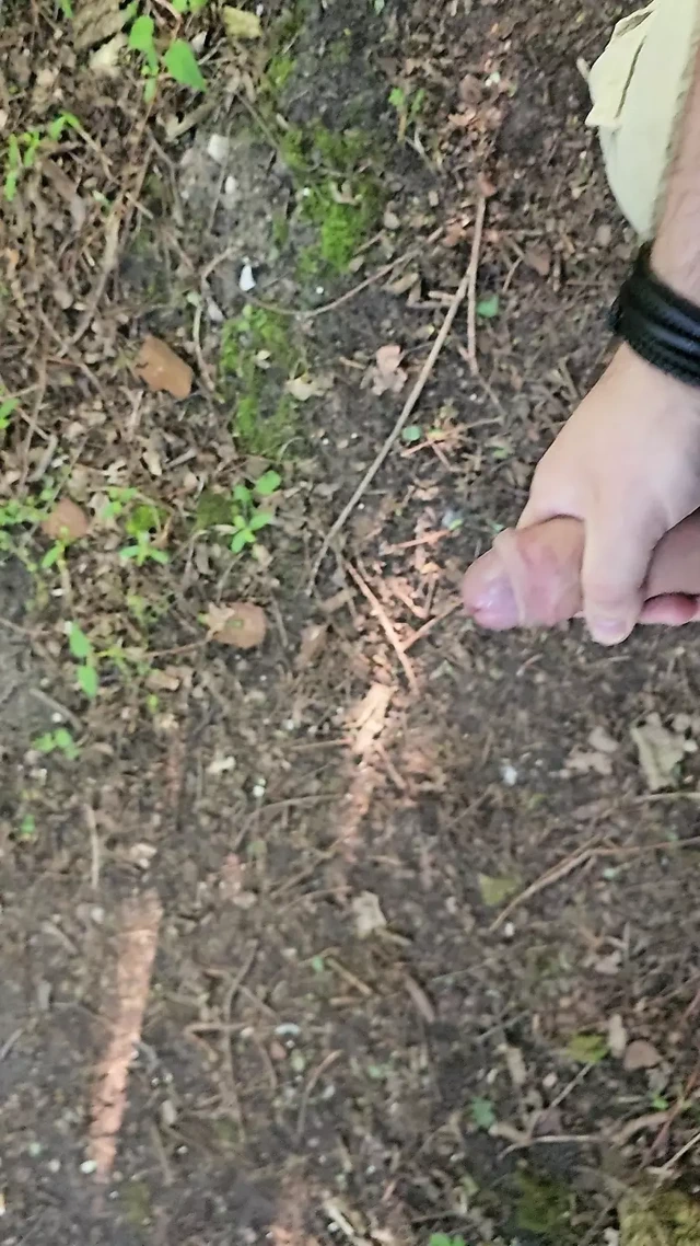 Ormanda ikinci boşalma