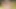 Hotkinkyjo müzik odasında dildo, krem şanti ve amıyla oynuyor