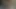 KEDİ olduğunu her zaman aç için ham horoz