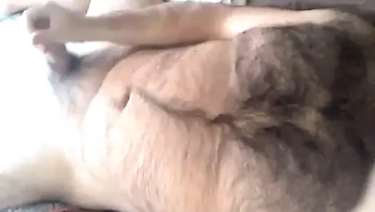 Sıcak kıllı ayı vuruş bir dışarı