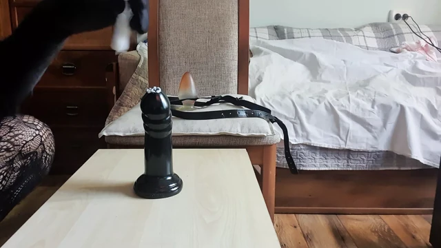 En iyi anal sikiş