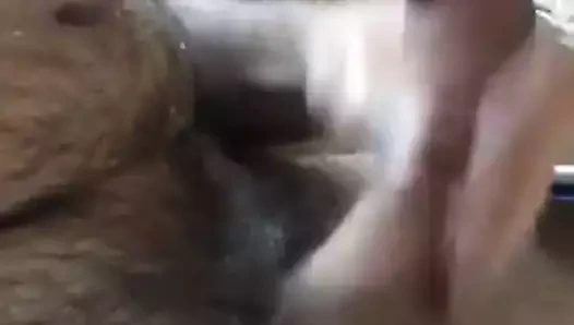 Odada yalnız baba değil