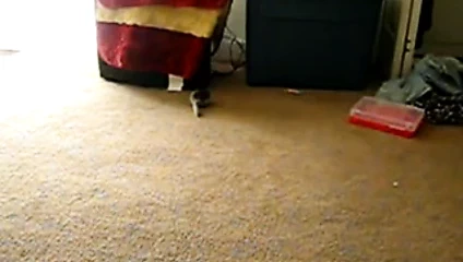 Bir başka güzel bootay 9