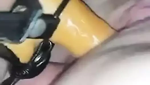 lanet kedi ve anal