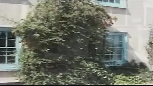 Büyük Omar'ın İngiliz maceraları: arka anal ajanlar (2001)