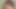 Tittyvixen69 daha büyük 015