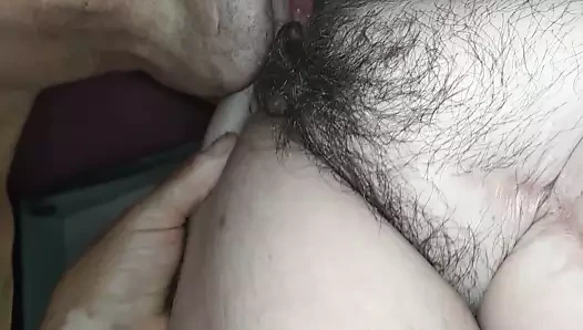 yalama bir tüylü büyük kedi