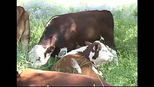 Sadece kahrolası bir erkek delisi!!! - cilt #23