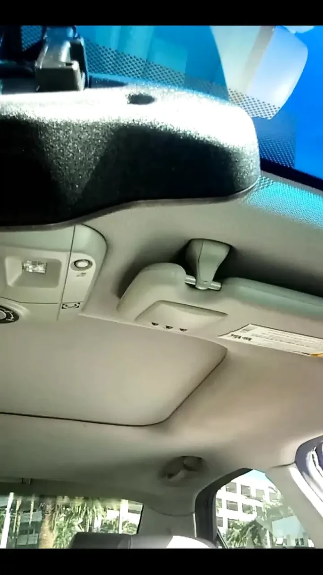 Быстрое обозрение розы вибраторе