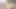 Maiya külotlu çorap 3d hentai - masa altı gırtlağına kadar alma, frenulum yalama, elle muamele yüze boşalma