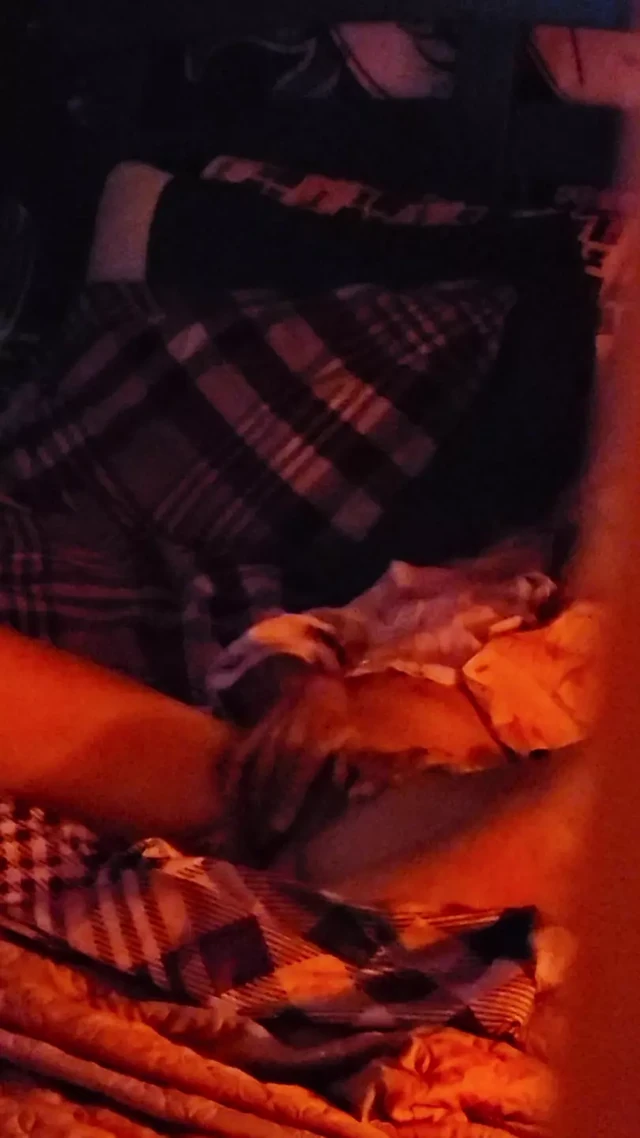 Застукали снова!