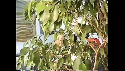 Üçlü orta yaşlı seksi kadın anal sikişiyor