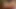 Chloe Cheerleader 3D Animation - Big Tits Play Moans, Piledriver Pussy Licking, Fingering Squirt in Uncensored Hentai
