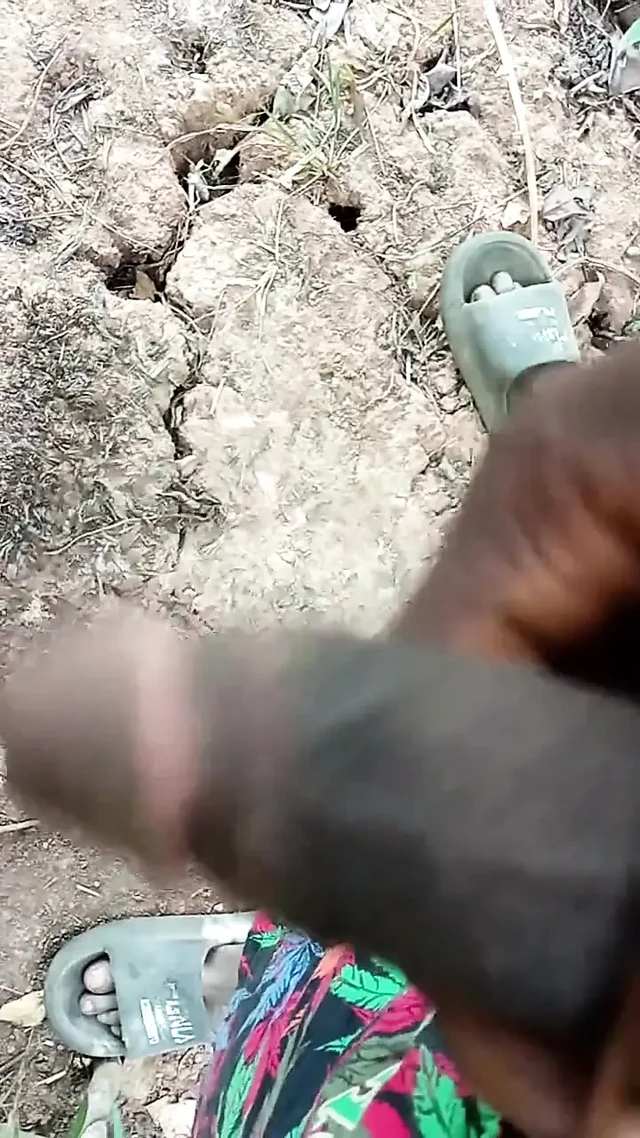 African Boy Masturbating Inside the Bush