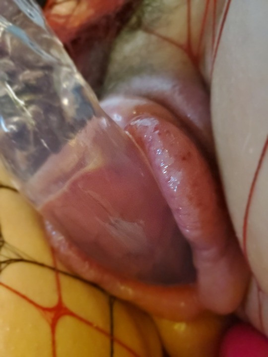 Metres x – gina'nın güzel pompalanan kedi bir yapay penis ile becerdin