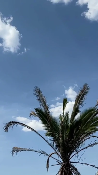 Çadırlarında iki ev erkeğiyle seks yaptım