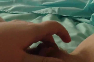 kedi kırmızı