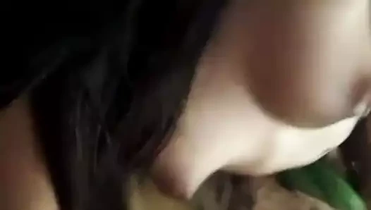 Isangel simülasyonları