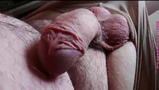 The dick ve the tayt