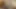 Hintli kız büyük büyük yarakla oral seks yapıyor. Hintli kadın ev yapımı sakso çekiyor harika bir video.