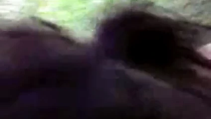 açık oral seks pov