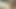 Porno yıldızı striptizci pusc çalış şeritler