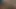 Seksi sarışın lezbiyenler birbirlerini yalıyor ve dildoyla oynuyor