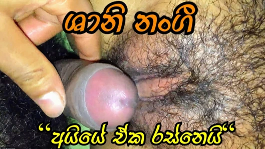 Shani Nangi okulda seks videosu srilankan