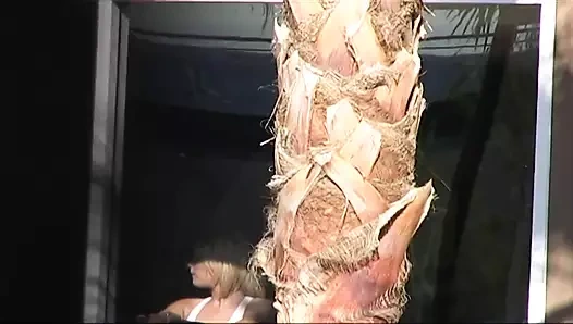 Sarışın kafede yakalandı