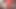 İyi yuvarlak orta yaşlı seksi kadın luna yağlanan amına dildo yapıyor