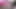 Delicious pink pussy in close-up