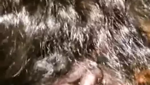 Yüzünü uzağa vermek