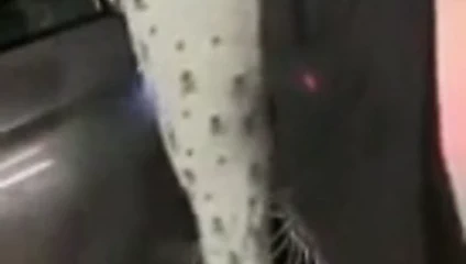 Büyük götlü büyük yarak