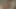 Afrikalı kadın Brezilyalı kocama göt veriyor bölüm 1 - yaramaz küçük karınca