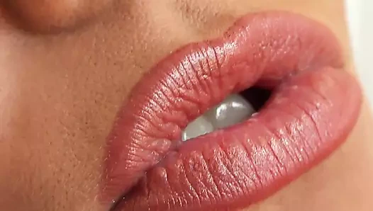 Yakın çekim kedi sıcak