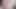 Femboy tavşan küçük fenne mor dildo anal mastürbasyon yapıyor