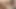 Asian big boobs hairy pussy fucking