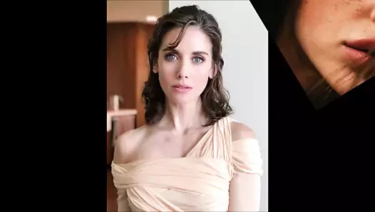 3313 renginde kaybolan vanilya