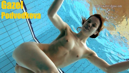 Gazel su yüzeyinin altında sükunet buluyor