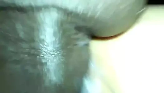 Kremsi Latin kedi seviyor siyah çük 3