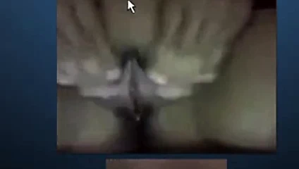 Islak kedi içinde web kamerası