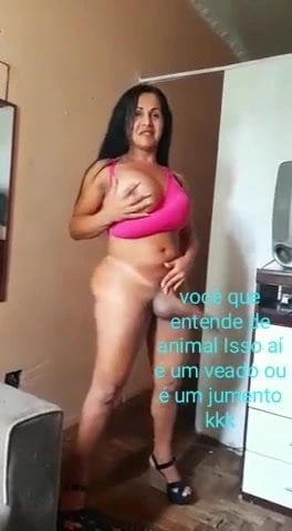 Ursos