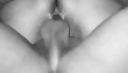 siyah sezon, yakın çekim lanet ile sulu KEDİ gece