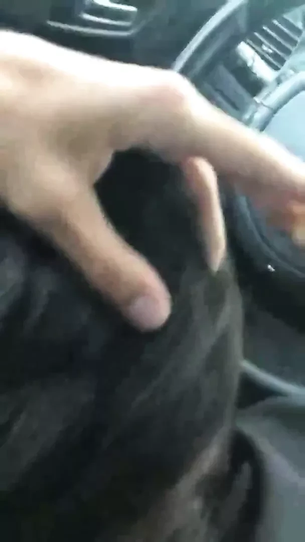 Petite pipe en voiture